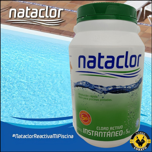 Imagen 5 de 10 de Cloro Granulado Instantaneo Nataclor Pileta Piscina 5 Kg 60%