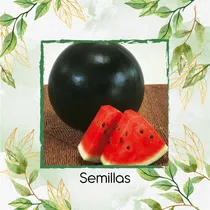 Comprar 90 Semillas De Fruta Sandia Sugar Baby