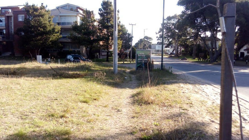 Av. Shaw Esq. Palometa Excelente Lote Sobre Av. Shaw