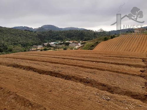 Imagem 2 de 15 de Cód 4204- Excelente Terreno Em Ibiúna. - 4204