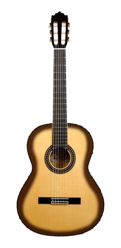 Guitarra Electroacustica Clasica Roger De Luria Rdl39