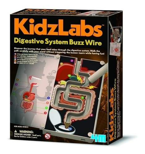 Kidzlabs Digestive System Buzz Wire Sistema Digestivo 4m