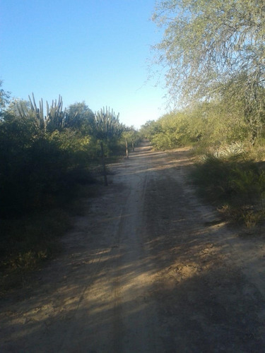 Venta Campo En Figueroa, Santiago Del Estero.