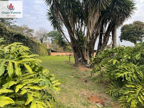 Imagem 8 de 9 de Chácara A Venda . - P0439-1