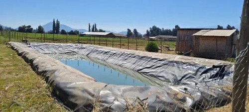 En Venta Parcela 10000m2 Graneros
