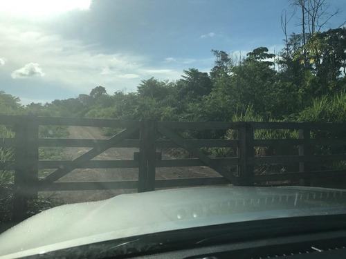 Vendo Fazenda De 5200 Hec Em Roraima ( 6097 )
