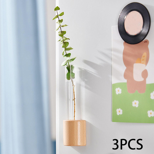 J 3 Estações De Propagação De Plantas De Madeira,