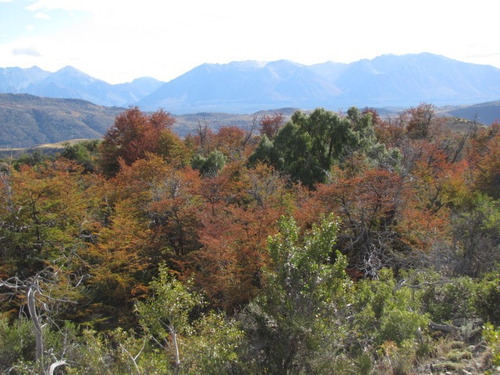 Lote Cholila Chubut Usd 25.000.- Villa Ecosustentable