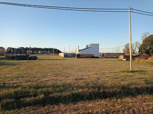 Imagen 5 de 5 de Lotes En Humboldt