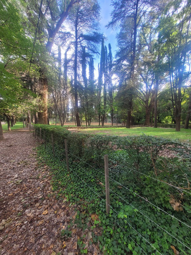 Terreno En Venta En Nono
