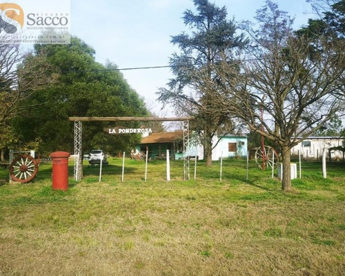 Casa Quinta Buena Forestación En Venta En #trenquelauquen