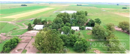 Imagen 2 de 17 de Campo En Venta 780 Has Mixto En Chascomus- 90 % Clase Iii.