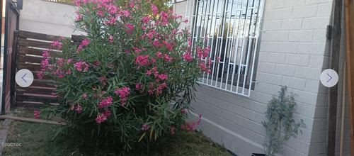 Hermosa Casa, Ubicada En El Sector Sur, Paradero 11