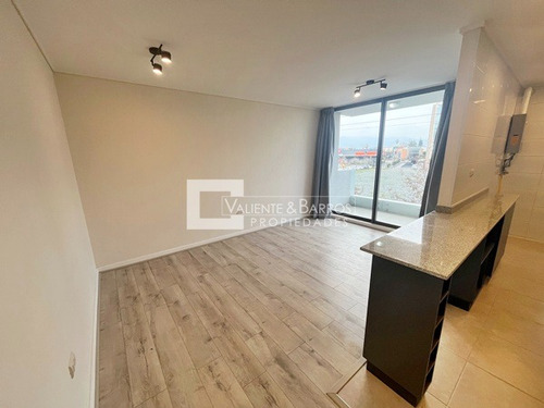 Departamento En Arriendo En Condominio Borde Andino