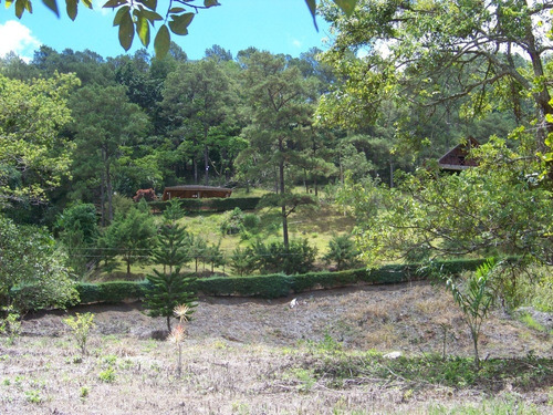 Imagen 9 de 11 de Solares,villas,lotes,terrenos En Jarabacoa