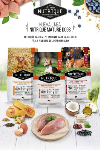 Imagen 6 de 9 de Alimento Nutrique Medium Puppy para perro cachorro de raza mediana sabor pavo en bolsa de 12 kg