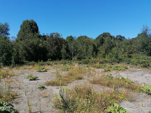 Venta De Parcela Cerca San Javier Pelluco Alto