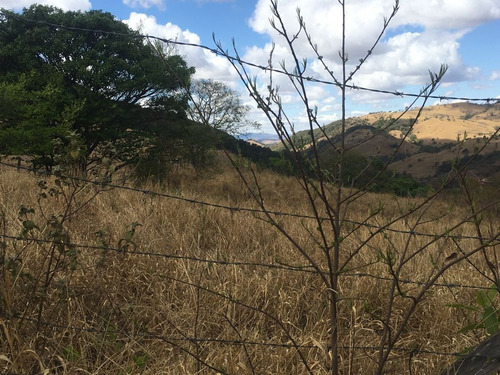 Imagem 5 de 24 de Chácara À Venda, 2800 M² Por R$ 80.000 - Zona Rural - Caldas/mg - Ch0126