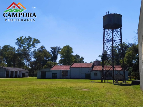 Imagen 13 de 14 de Importante Campo A La Venta Con Magnifico Casco/parque Grandes Mejoras A Solo 80 Kms De Capital Federal . Todo Autopista Y Asfalto Hasta El Casco Principal,