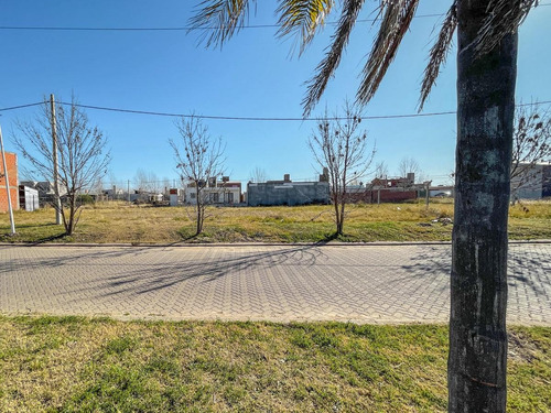 Imagen 7 de 10 de Lote Imperdible Sobre Boulevard Principal