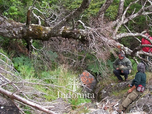 Campo En Venta 600 Hás De Río En Con Río Yelcho, Chaitén