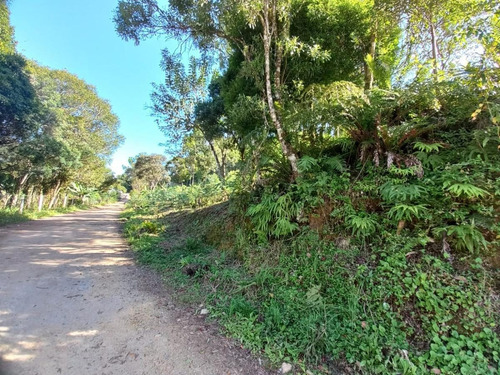 Imagem 5 de 15 de Sítio / Chácara Para Venda Em Tijucas Do Sul, Matulão /tijucas Do Sul, 2 Dormitórios, 2 Banheiros - 147_2-1569094