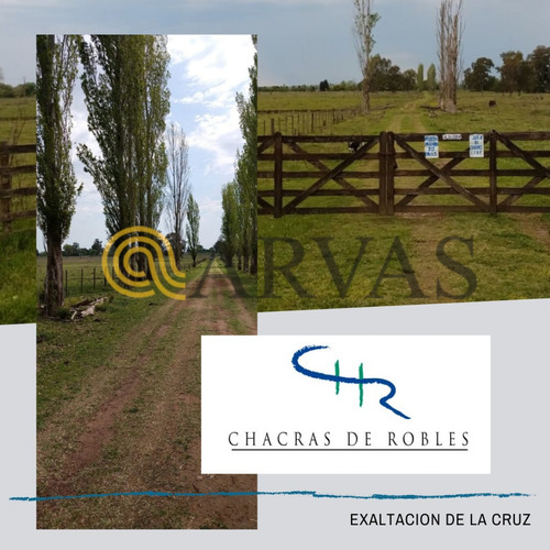 Arvas Vende Chacra En Capilla Del Señor - 5000m2 - Interno