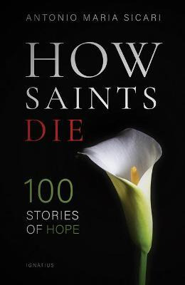 Libro How Saints Die : 100 Stories Of Hope - Antonio Mari...