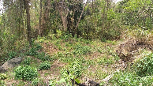 Imagen 5 de 8 de Vendo O Alquilo Bonito Terreno Para Proyecto Comercial