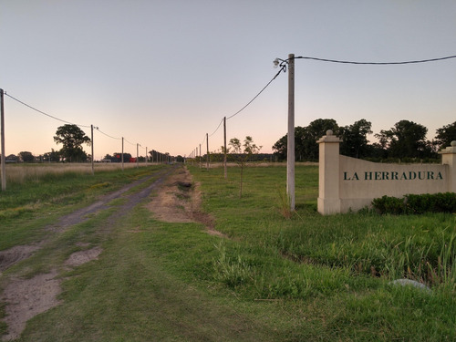 Dos Terrenos 3600 Mts En Bragado