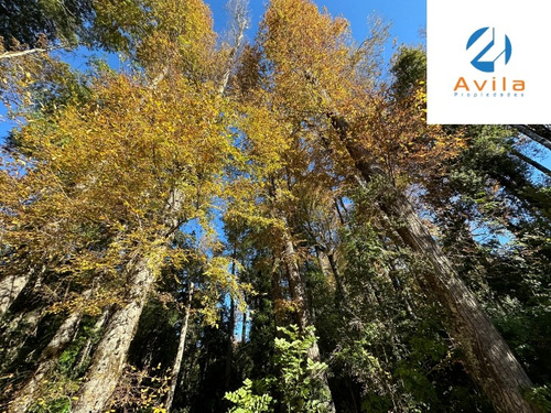 Pucón Parcela Condominio Bosque De Los Nevados Cod.vtap139