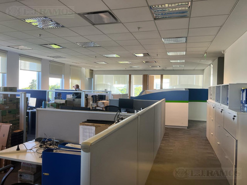 Oficina En Polo Dot.-