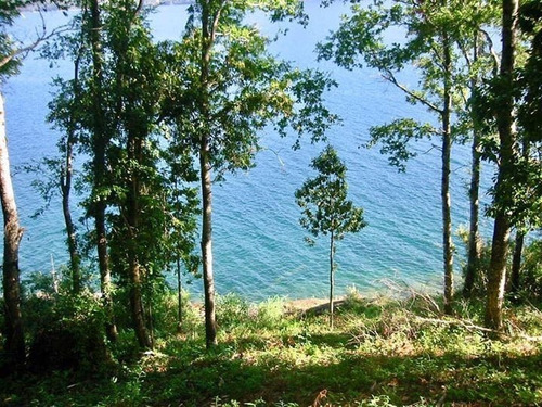 Imagen 2 de 4 de Maravilloso Sitio Con Orilla De Lago En Lago Colico