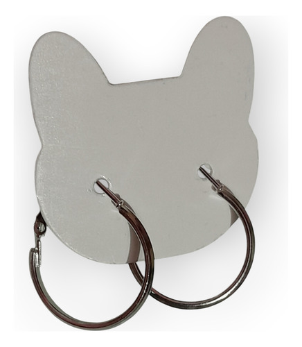 Aretes Genéricos De Acero Inoxidable - 1 Par