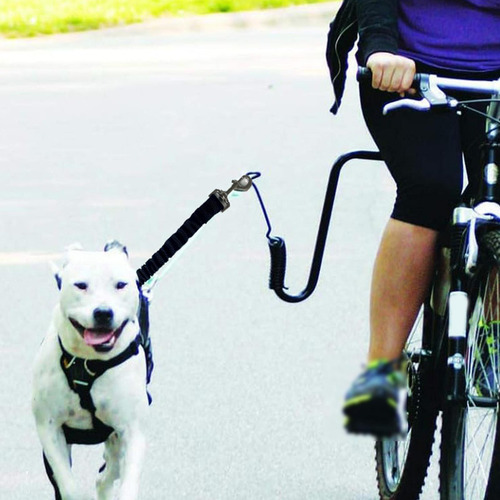Cike De Bicicleta Para Perros Correa De Accesorio Ejercicio