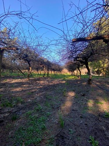 Imagen 9 de 13 de En Venta Importante Chacra 5.5 Hectareas Con Emprendimiento