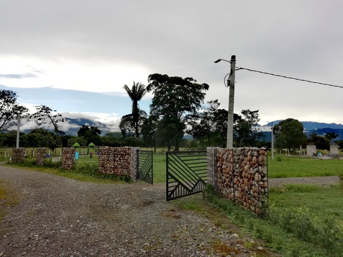 Imagen 3 de 14 de Casa Lote - Ojo - Casa Lote En Condominio De Acacìas Meta