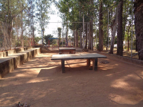 Imagem 12 de 19 de Apartamento À Venda Em Vila Padre Manoel De Nóbrega - Ap004313