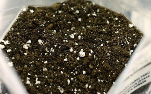 Imagen 7 de 10 de Sustrato Cultivate Indoor 25 Lts Organico Cultivo Interior