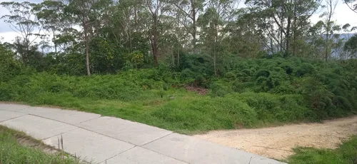 Terreno Sector Alto Fogón