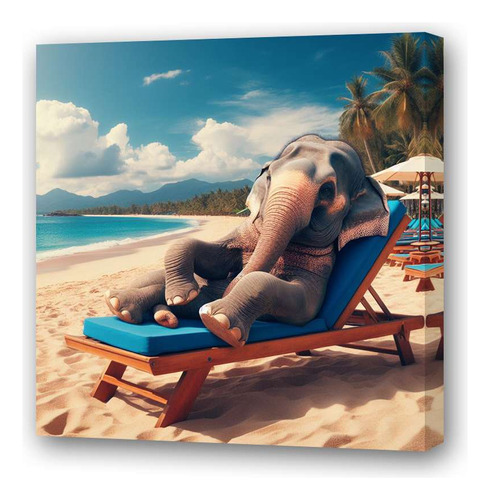 Cuadro 45x45cm Elefante En La Playa De Vacaciones