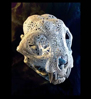 Filigrana Anatomical Bobcat Skull - Pre-soporte- Escultura