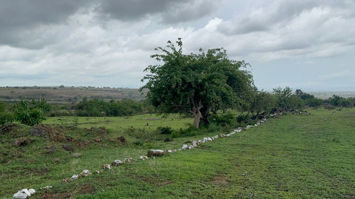 Terrenos Rusticos. A 20 Minutos De Oaxtepec.