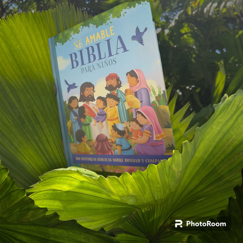 Libro De  Biblia Para Niños Ilustrada