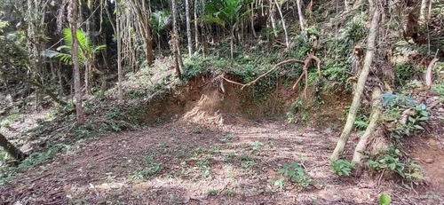 Imagem 3 de 14 de Juquitiba Terreno P Construir/platô/limpo/5000 Mts Ref 05137