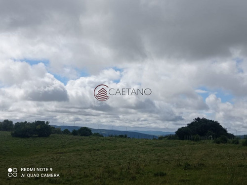Imagen 23 de 25 de Venta De Campo, Maldonado.campo De 41 Hectáreas, Próximo A Pueblo Edén - Pueblo Eden