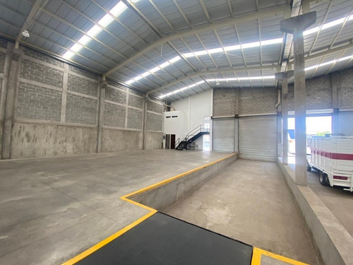 Imagen 6 de 10 de Bodega En Renta Ciudad Industrial Celaya Con Oficinas.