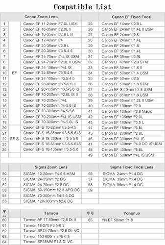 Imagen 4 de 9 de Adaptador De Lente Auto Focus Montura Ef/ef-s A Sony Mont E