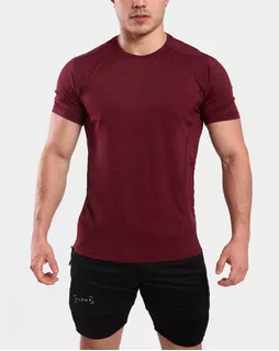 Polo Licrado Deportivo Hombre Gym - Ropa Deportiva Alphafit