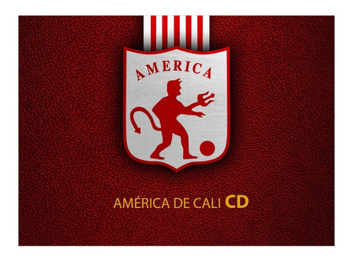 Cuadro Decorativo Futbol América De Cali Fc